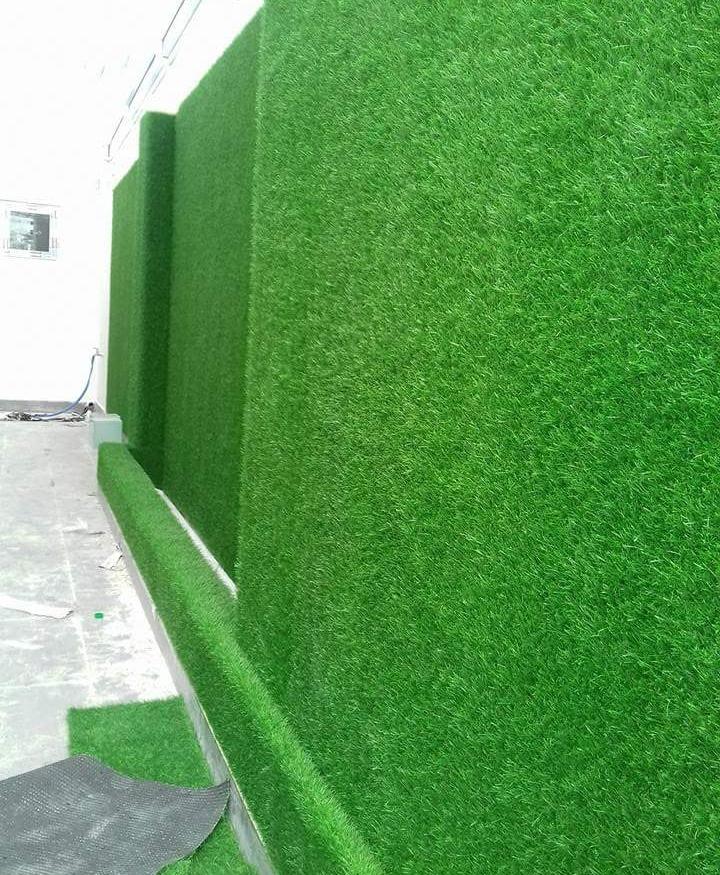 20 m2 thảm cỏ nhân tạo PVC cao cấp Cao 2cm- kt 2m x 10m