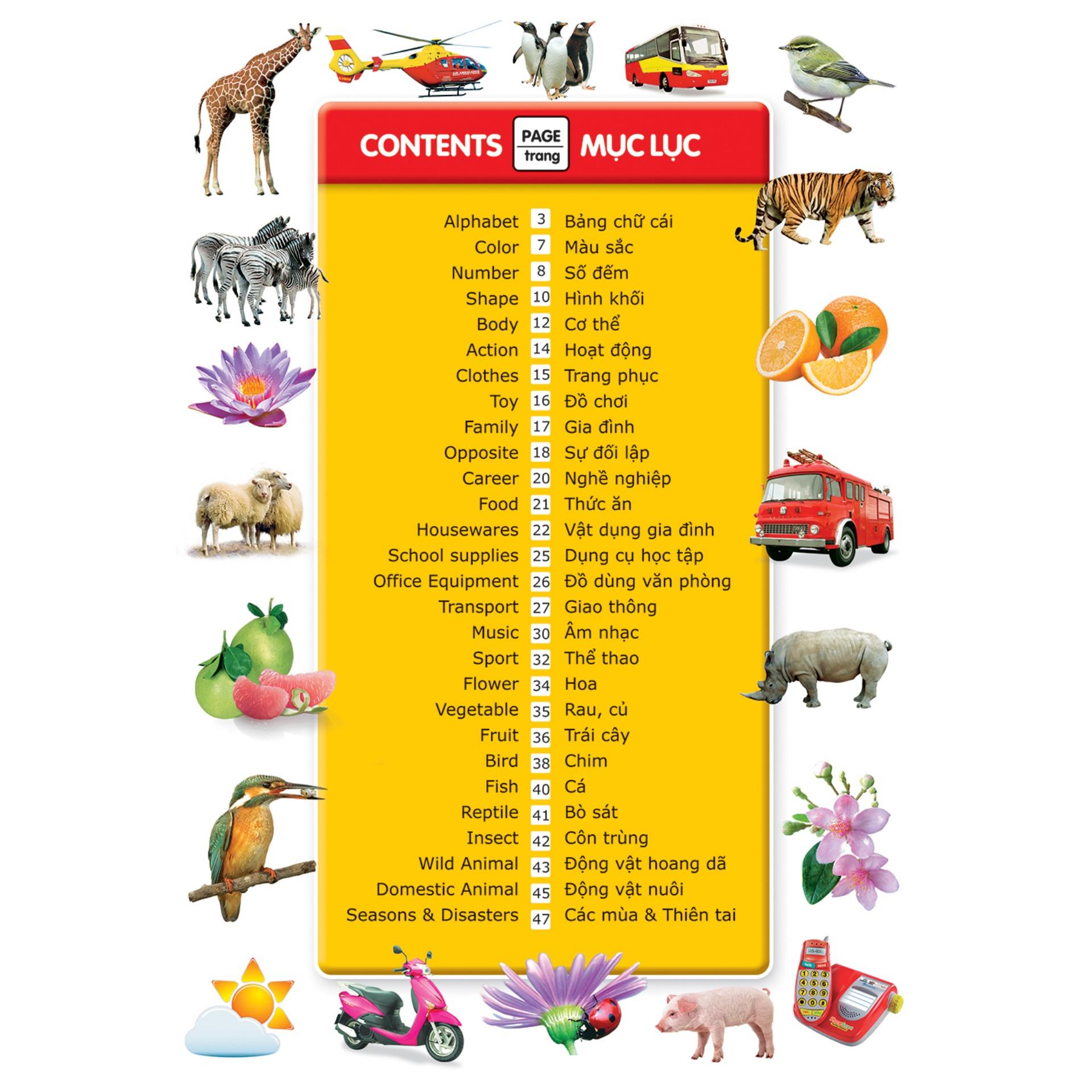 Sách: Từ Điển Anh Việt Bằng Hình