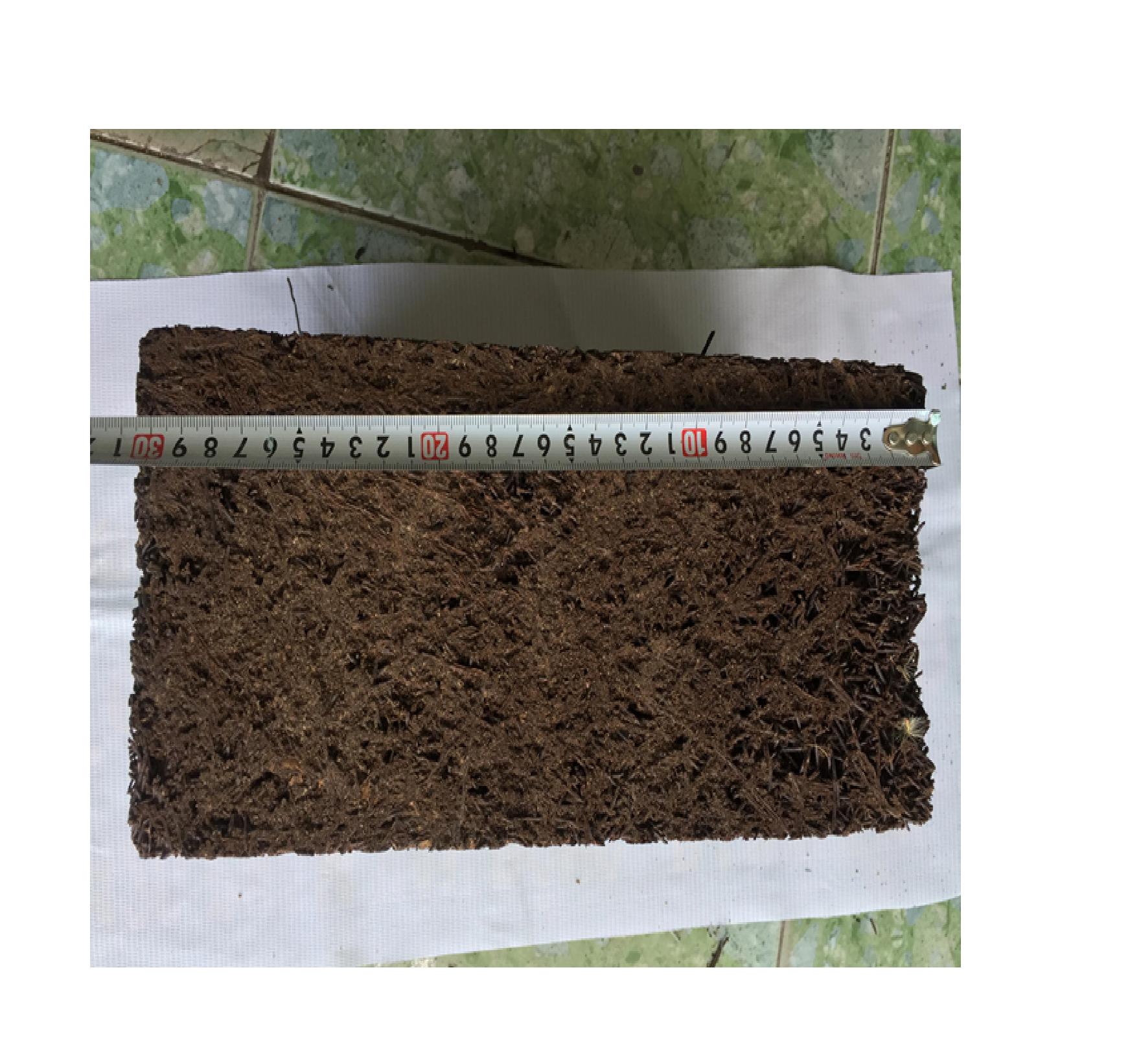05 bản Dớn 20cm x 20 cm trồng lan