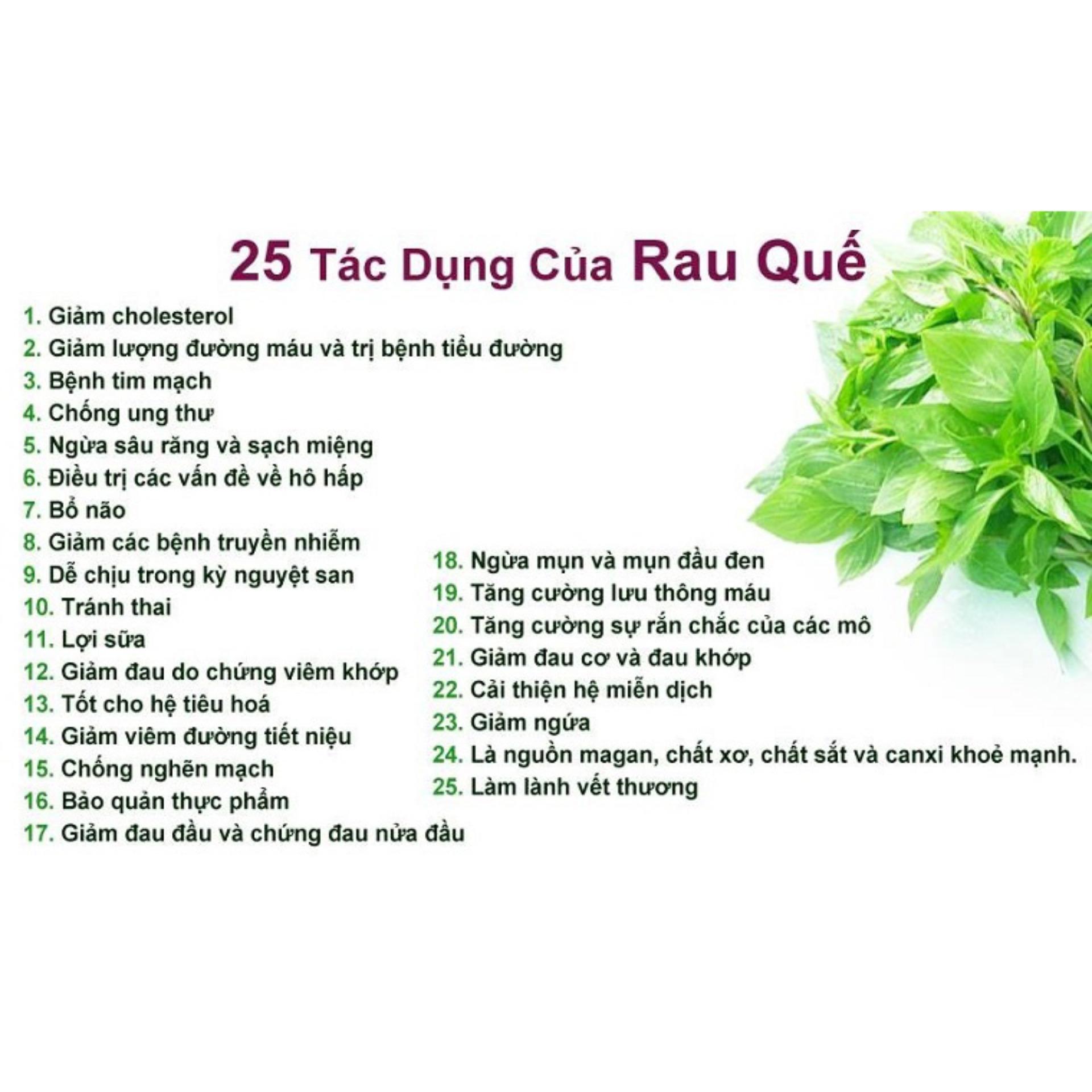[HCM]Hạt giống rau quế lá to Phú Nông-5g