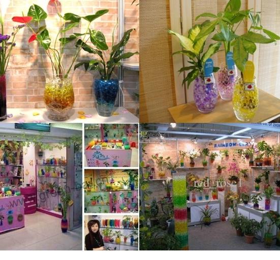 [HCM]Hạt tinh thể - đất tinh thể - hạt trân châu trồng cây