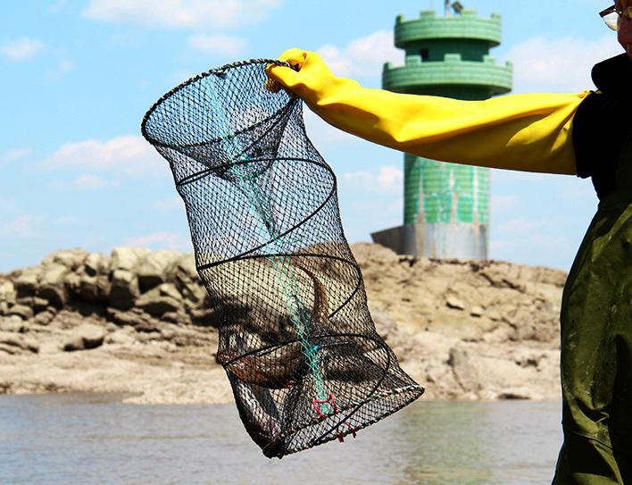 Lồng bẫy cá lò xo 30cm x 60cm - A Cường