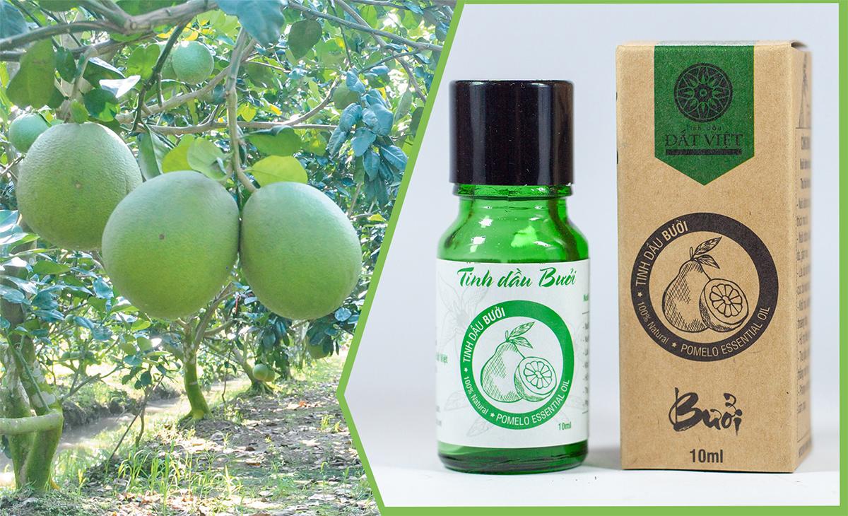 Tinh Dầu Bưởi Đất Việt (10ml)