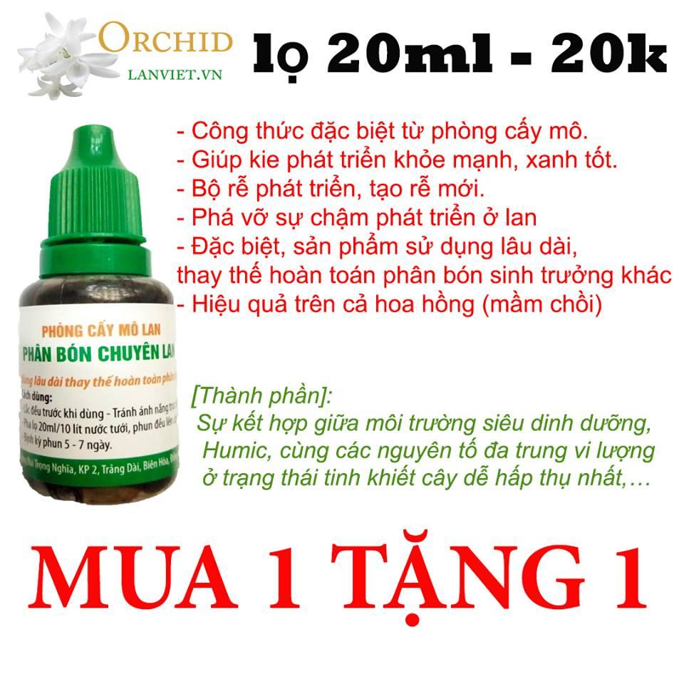 Thuốc kích rễ