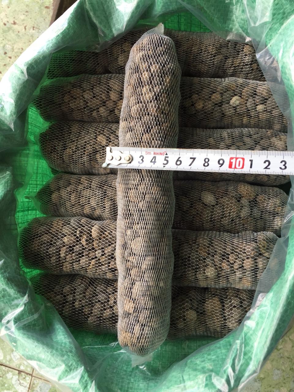 Combo 30 túi phân dê ủ nấm trichoderma dài 25cm