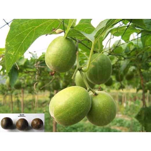 La hán quả 500g khô