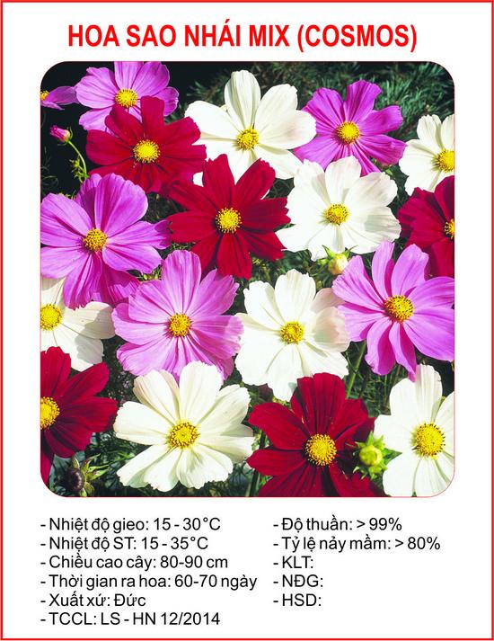 [Lấy mã giảm thêm 30%] Hạt giống Sao nhái mix (100 hạt)