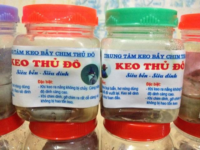 Keo bẫy chim Siêu Dính