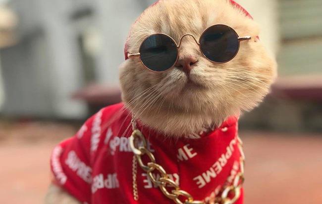 KÍNH MÁT CHÚ THOONG CHO TRẺ