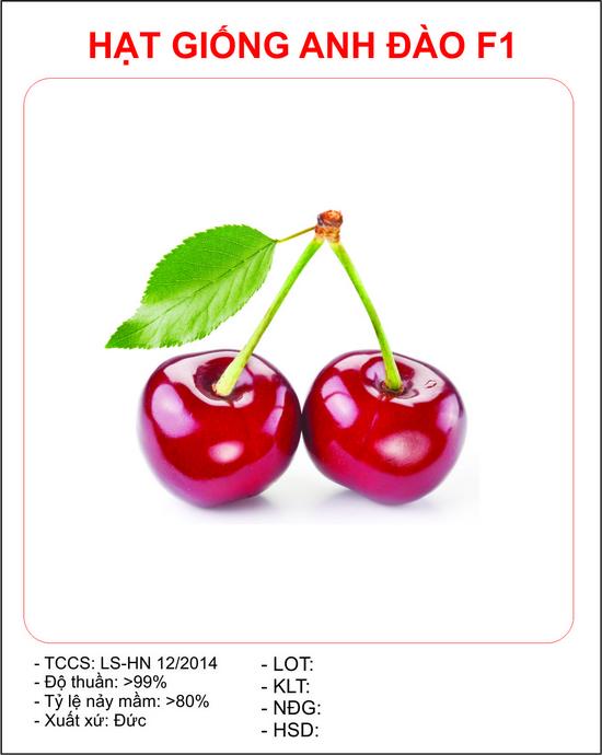 [Lấy mã giảm thêm 30%] Hạt giống Anh đào (Cherry) (10 hạt)