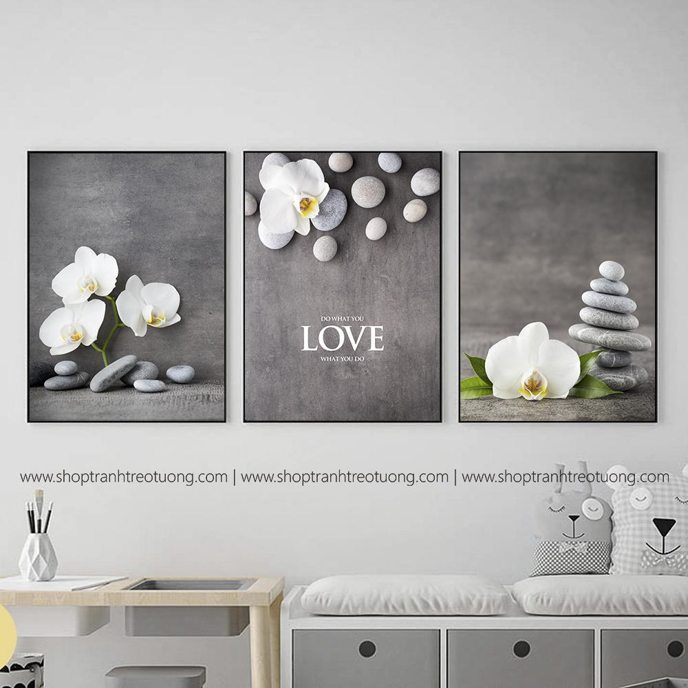 Tranh treo tường Hoa lan - DC3189, Tranh treo tường chất lượng cao, siêu sắc nét, đẹp giá rẻ tại Du Mục Art