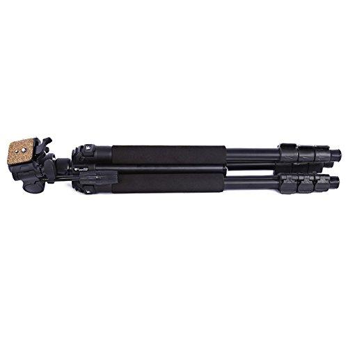 Chân máy ảnh Tripod Weifeng WF-6663A