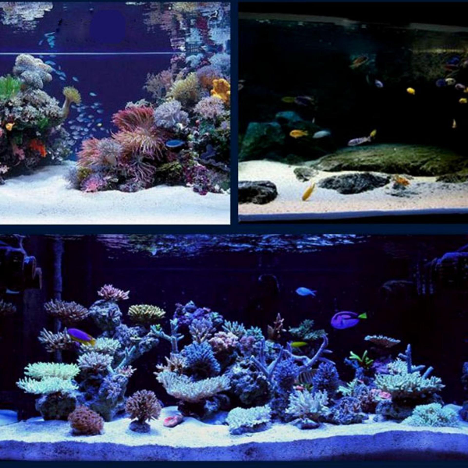 200gr PREMIUM NATURAL SILICA SAND GRAVEL WHITE AQUARIUM FISH TANK