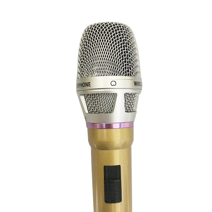 MÍC CAF-P10