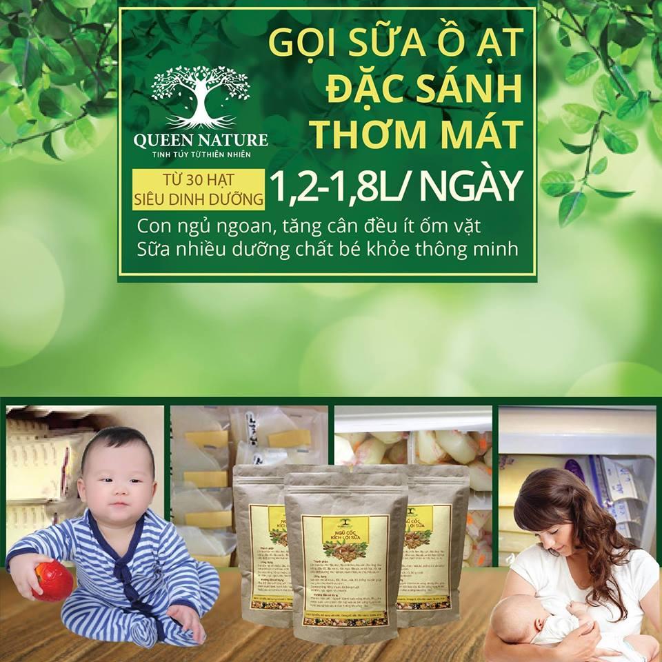 Ngũ cốc lợi sữa nature queen