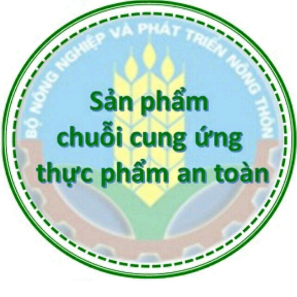 [HÀNG CÔNG TY] Cá cơm kho đặc sản Phan Thiết 250g