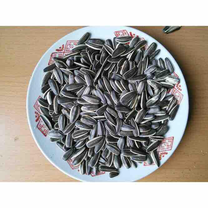 Hạt Hướng Dương [1kg]