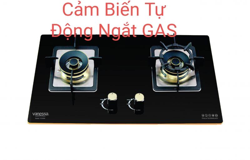 Bếp gas âm Vanessa VS8098