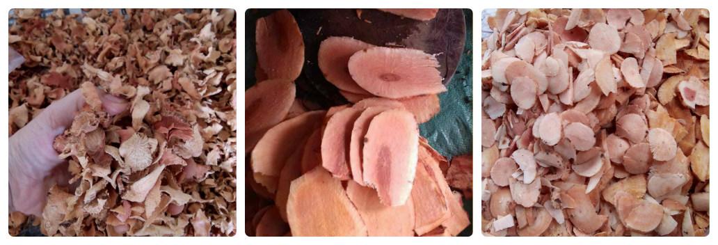 Tầm gửi nghiến rừng khô 500g