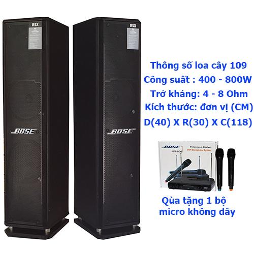 Loa đứng karaoke RXS 109 (tặng micro không dây)