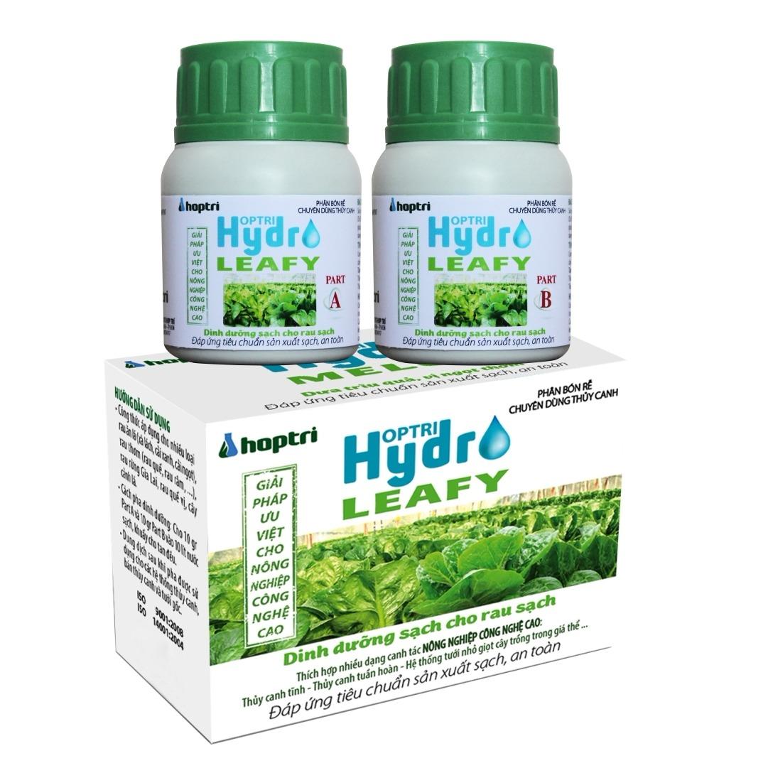 Dinh dưỡng thủy canh rau ăn lá - hydro leafy