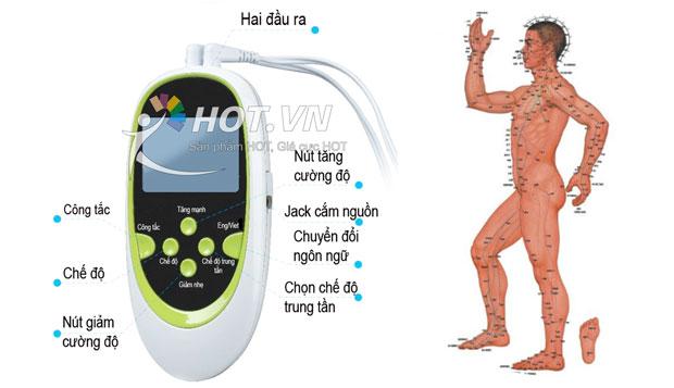 Máy mát-xa trị liệu 8 miếng dán đầu ra kép đa chức năng