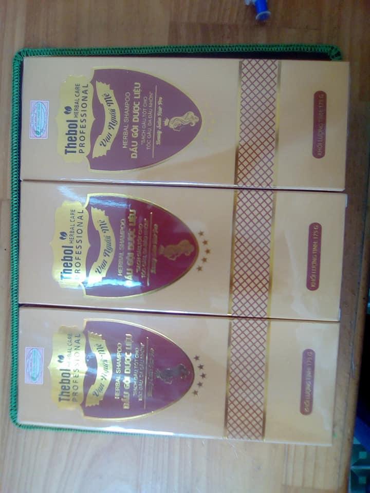 combo 2 chai dầu gội Thebol (xanh)