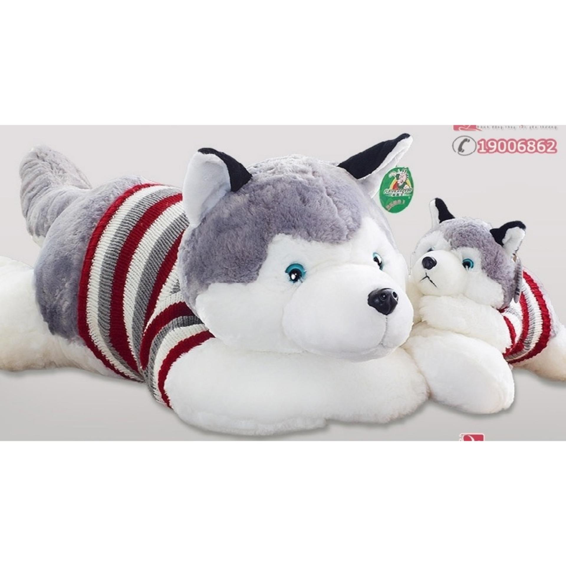 Chó bông Husky dễ thương trắng xám