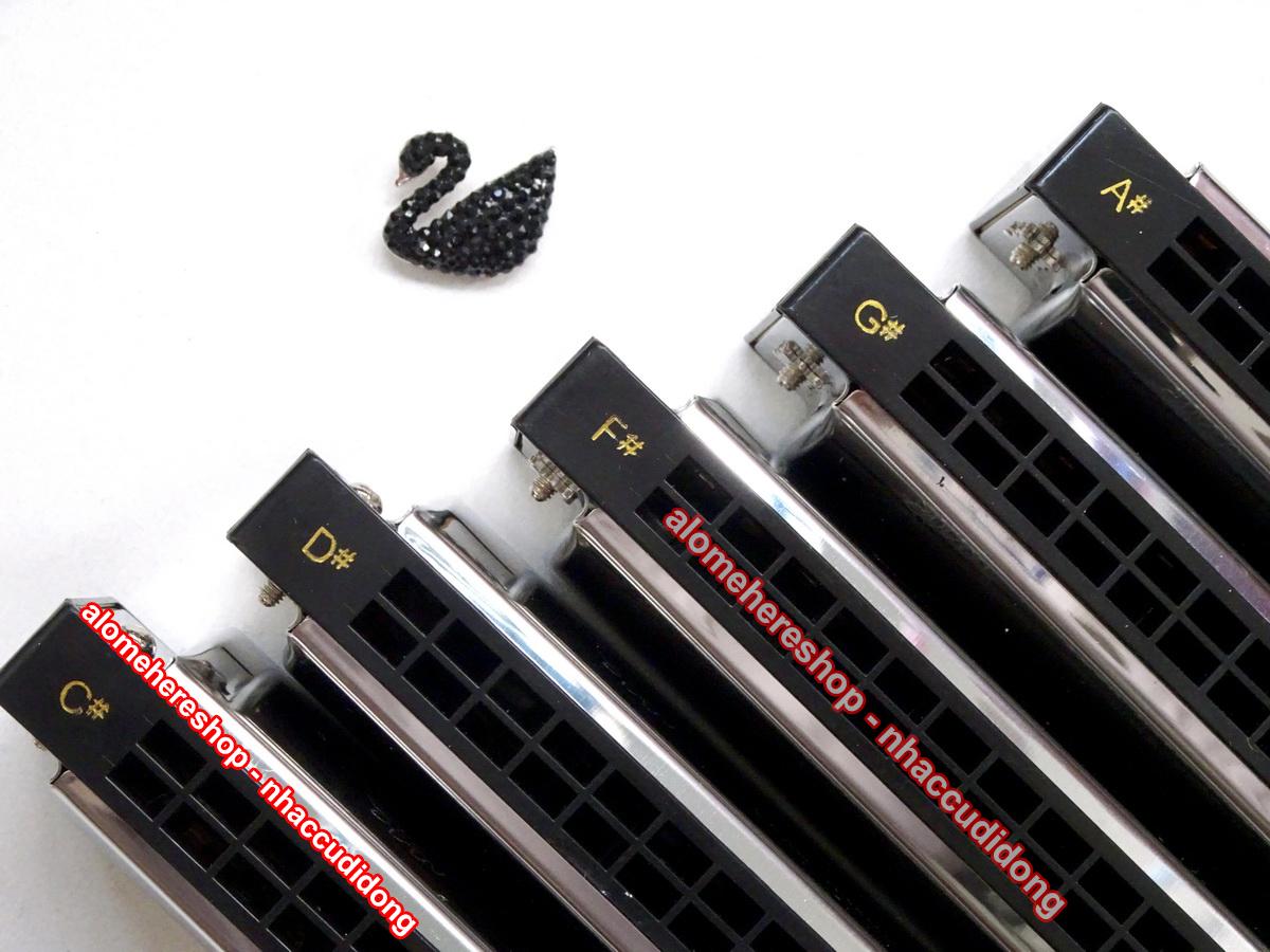 Kèn harmonica tremolo Swan Inconceivable SW24 Key G (Đen)