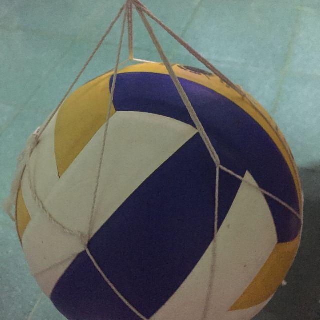 Dynamic Volleyball Dl200