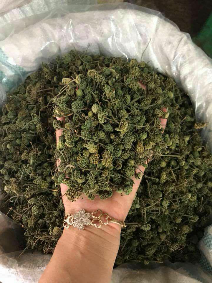 Nụ hoa tam thất khô 100g