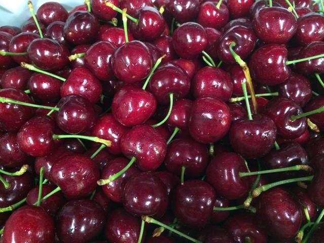 Hạt giống Cherry Mỹ F1 - Gói 0,5Gr