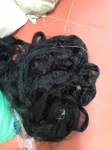 Lưới bẫy chim cao 5m dài 20m - Lưới bẫy chim