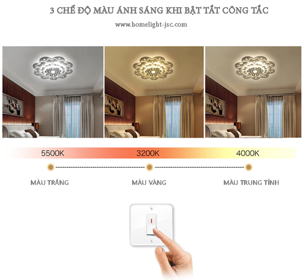 Đèn ốp trần Led hoa đá HOMELIGHT - OP3M06 (3 màu)