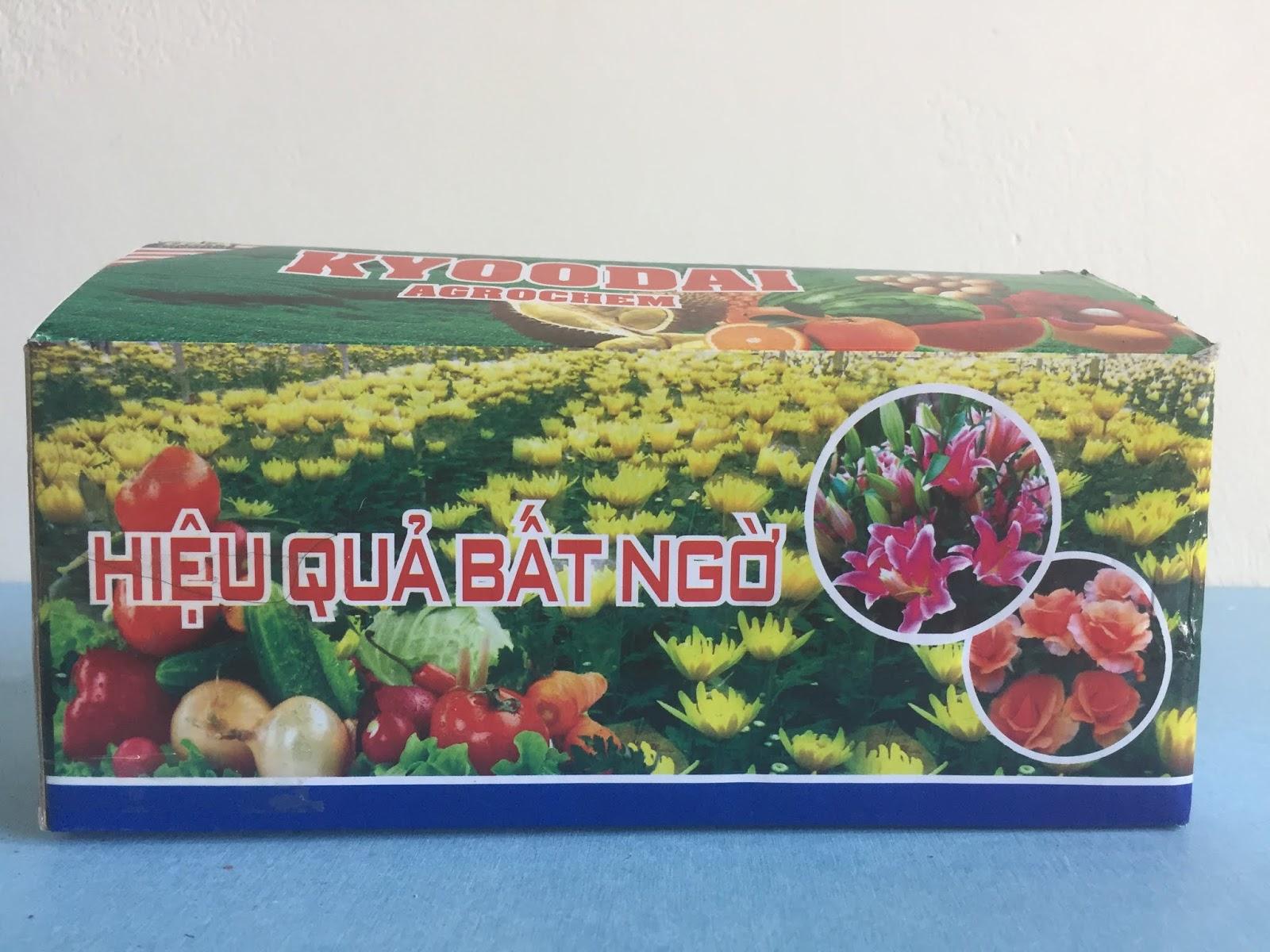 6 lọ Siêu ra rễ cực mạnh Root king