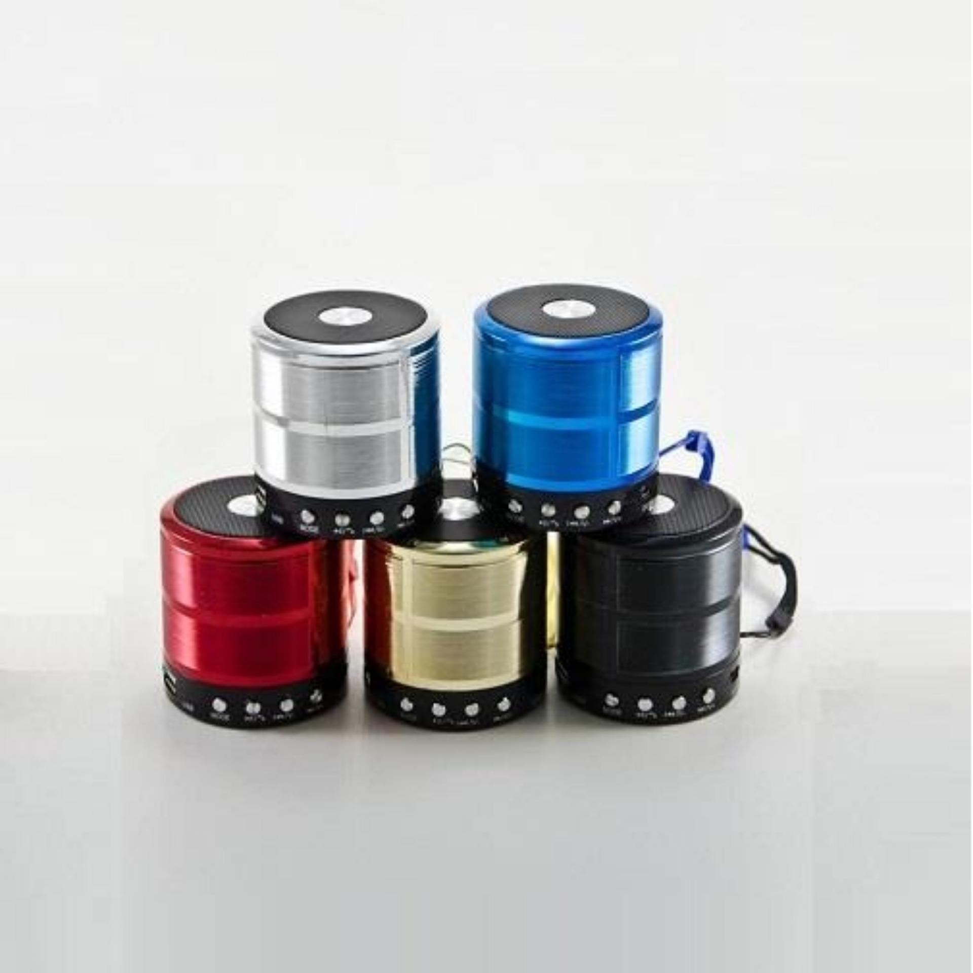 Loa Bluetooth Wster WS-887 hỗ trợ USB/thẻ nhớ/FM/AUX (Đen)