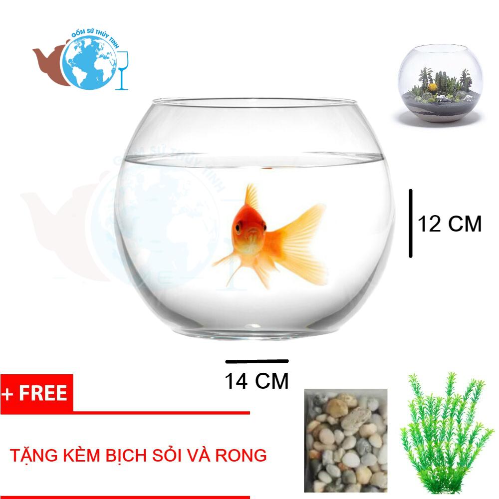 [HCM]Hồ Cá Thủy Tinh 14X12 CM TẶNG KÈM SỎI - T01