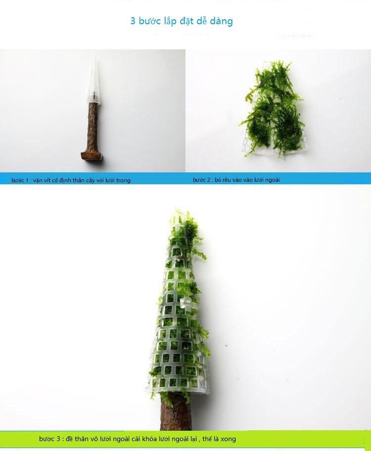 [HCM]Trang trí thuỷ sinh x’mas tree cây thông