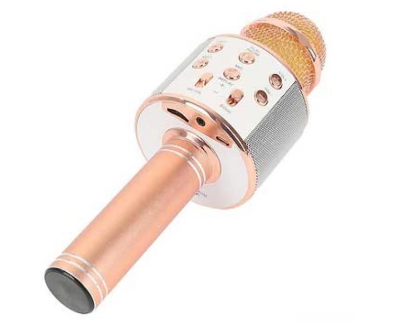 Micro hát karaoke Bluetooth 3in1 kèm loa WS-858 - DCWS858