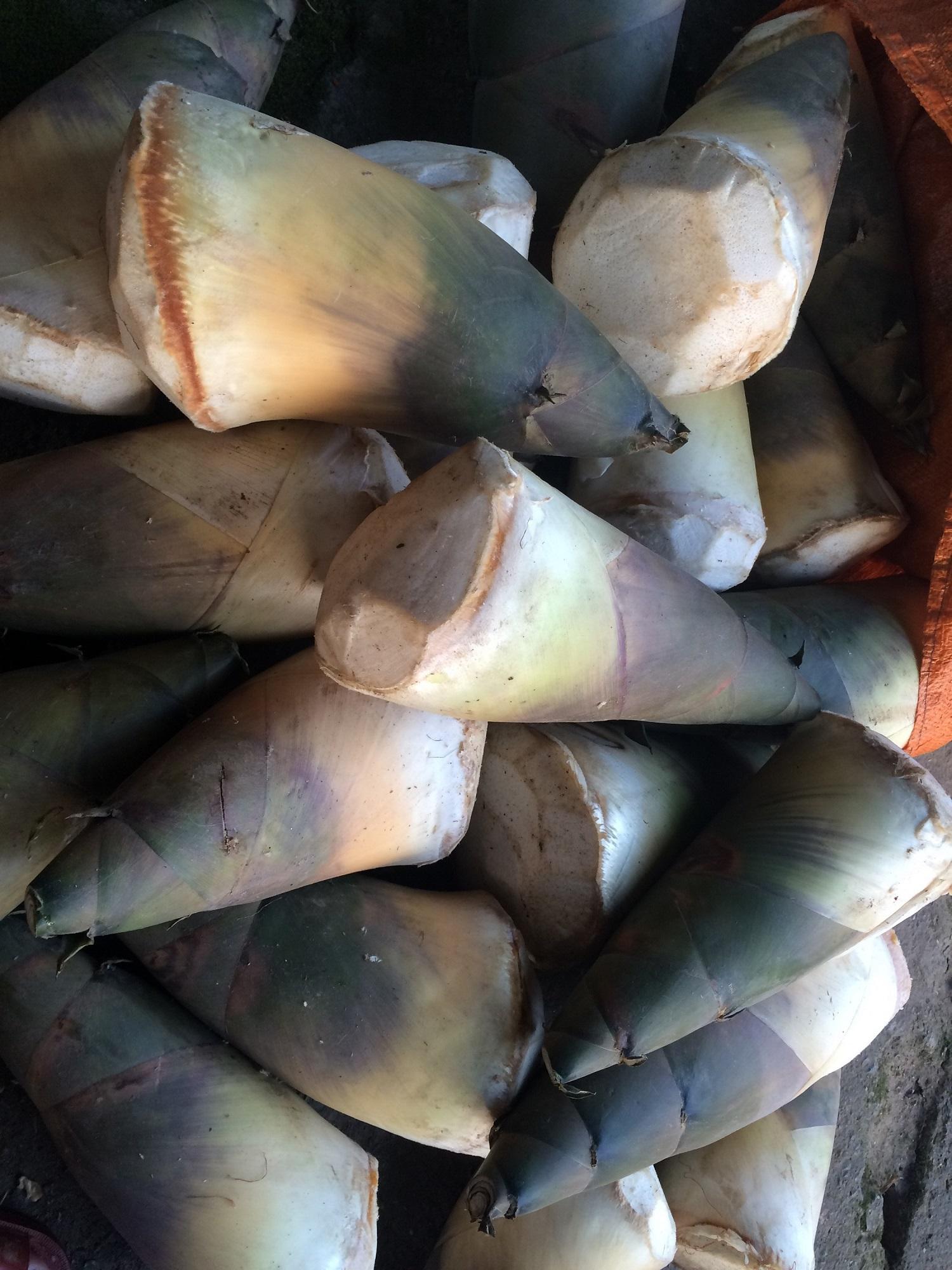 Măng khô lưỡi lợn 500g tự làm