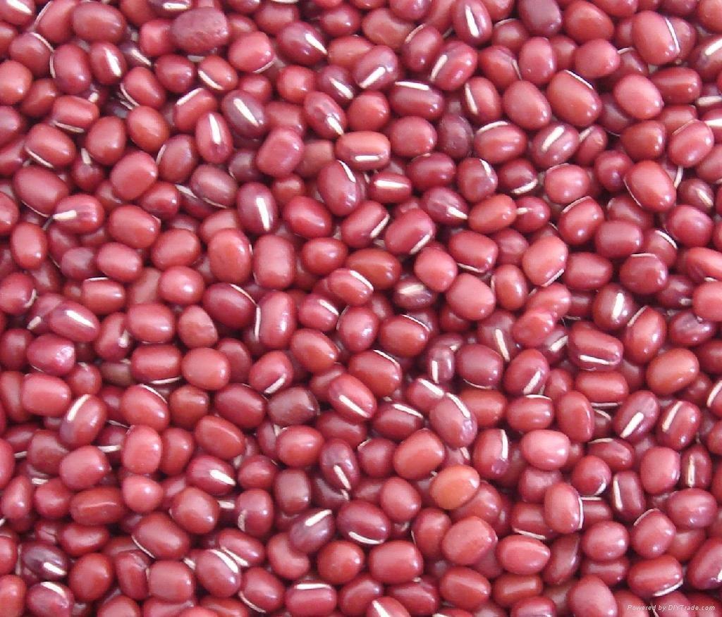 Đậu đỏ quê hạt nhỏ (1kg hút chân không)