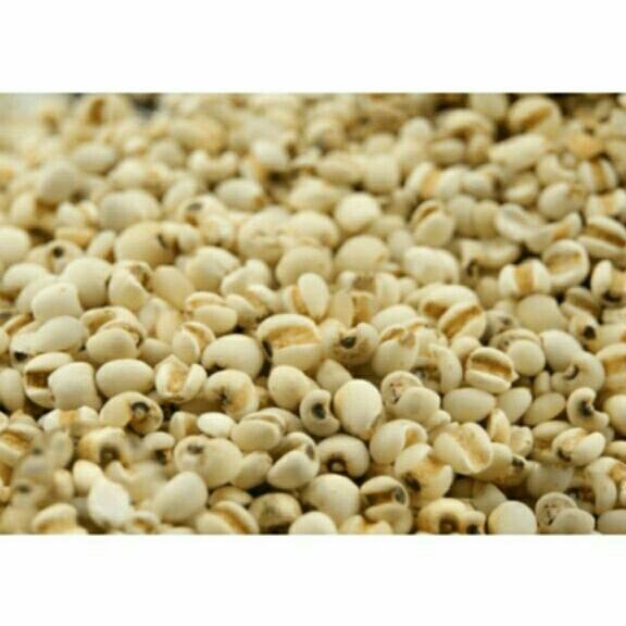 Hạt ý dĩ 1kg
