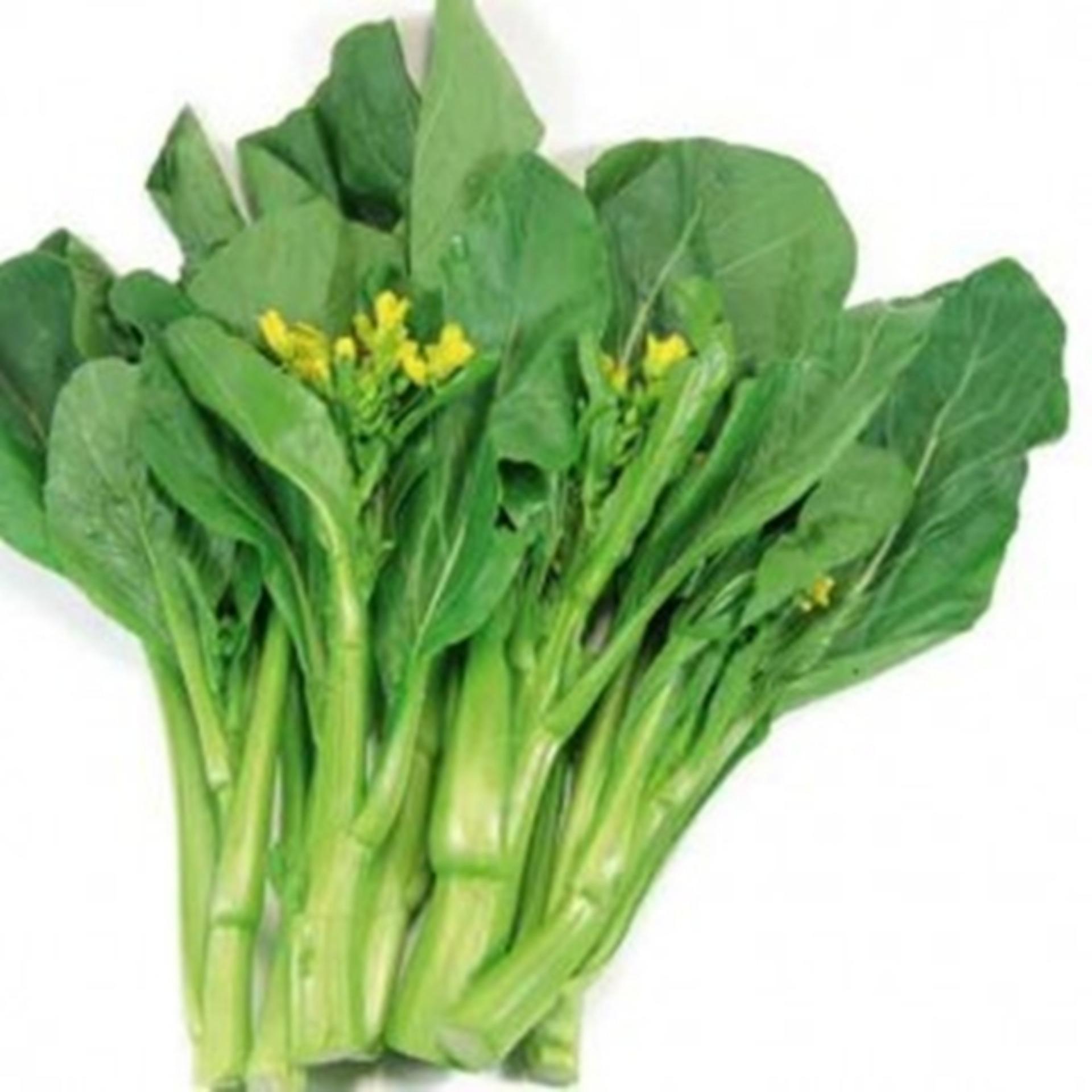 Hạt giống RAU CẢI NGỒNG