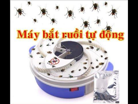 Máy bắt ruồi tự động , Máy Bắt Ruồi Tự Động Thông Minh