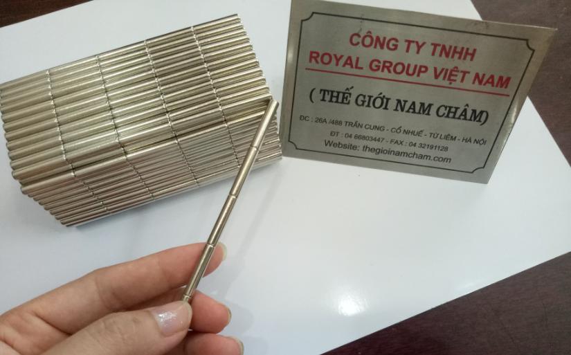 80 viên nam châm 4*20mm