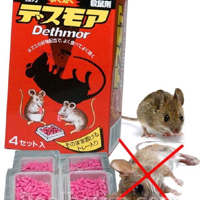 Thuốc diệt chuột của Nhật Dethmor tiêu diệt cả đàn chuột dễ dàng