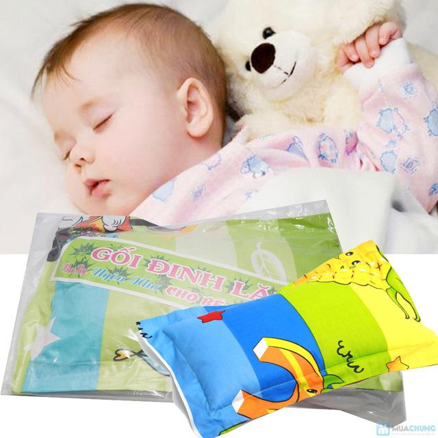Gối lá đinh lăng ngăn mồ hôi trộm, bé ngủ ngon