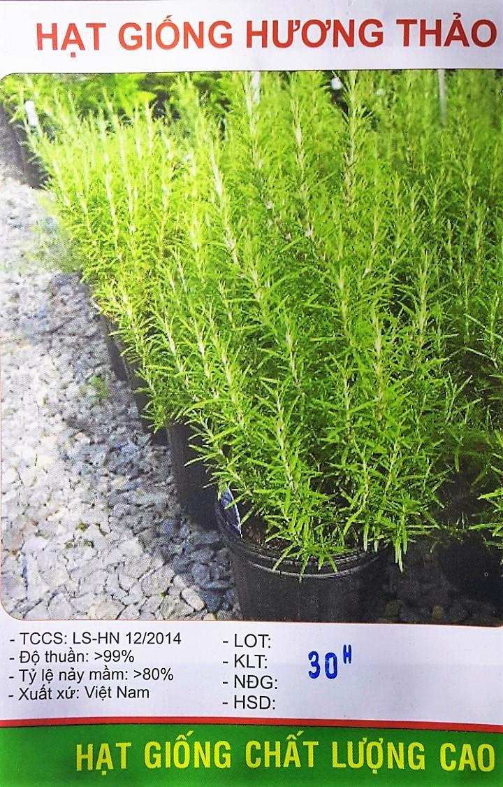 [HCM] Hạt Giống Cây  Hương Thảo  - KLT 30 hạt .