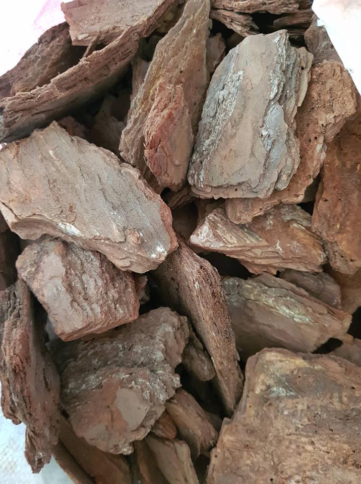 vỏ thông trồng lan 1kg