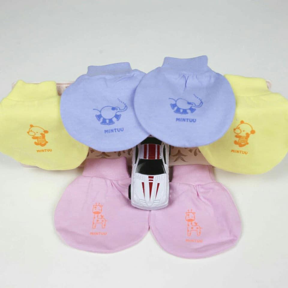 Combo 5 cặp bao Tay + 5 cặp bao chân cực mịn Mintu